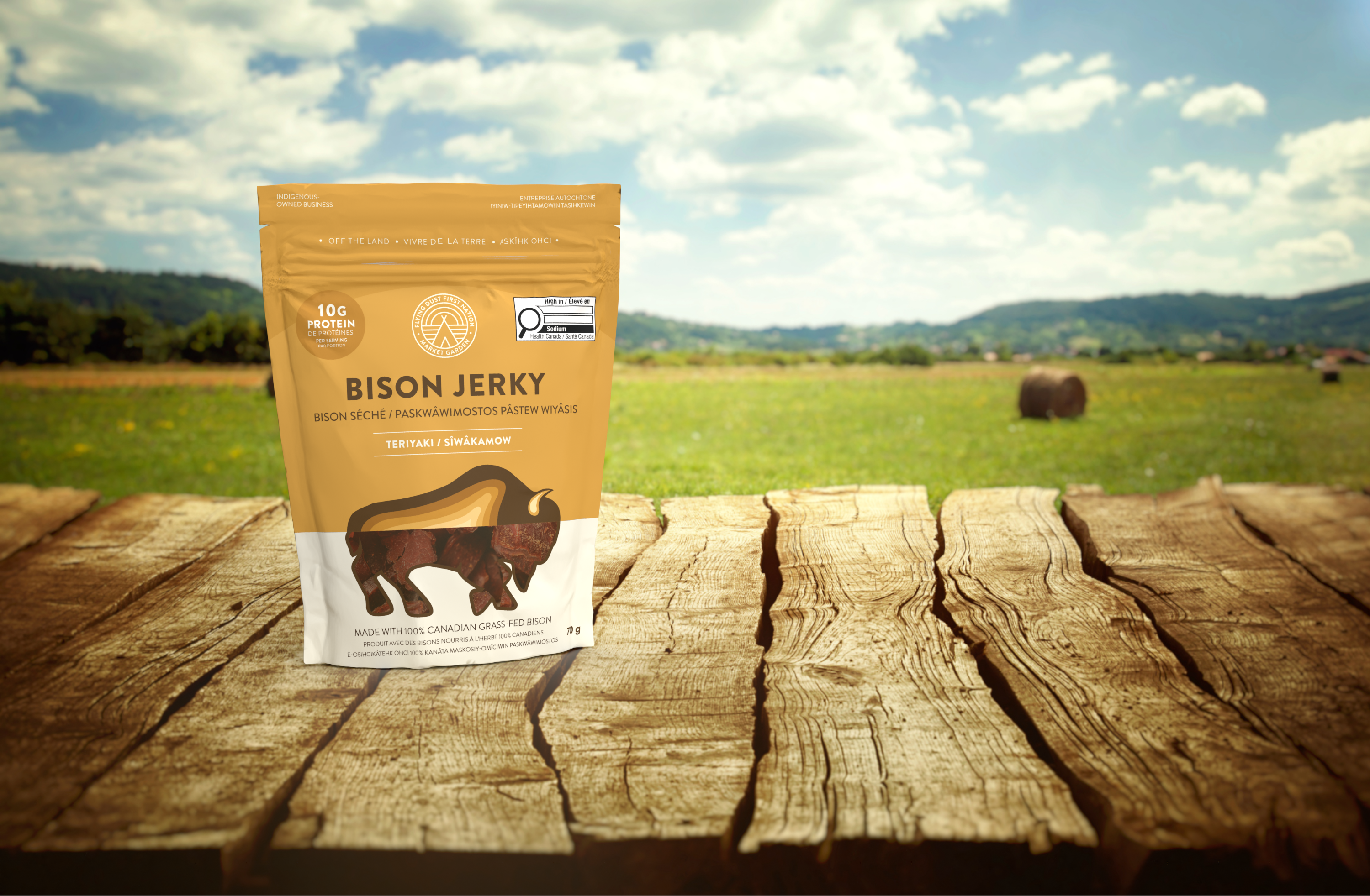 Bison Jerky - Teriyaki